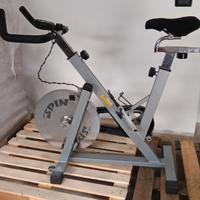 Spinning Atala Ginny