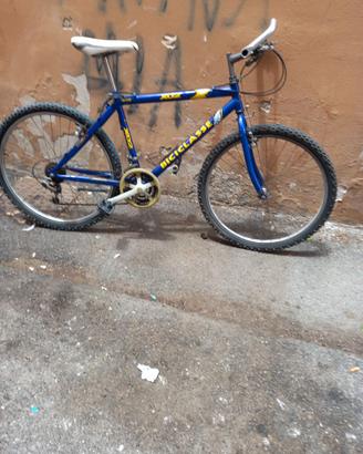 Mtb vintage