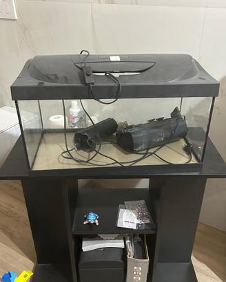 Acquario per pesci