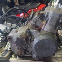 vari ricambi aprilia red rose 125 anno 1989