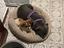 Immagine 6