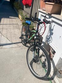 Bicicletta da uomo
