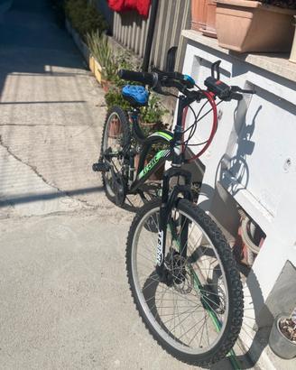Bicicletta da uomo