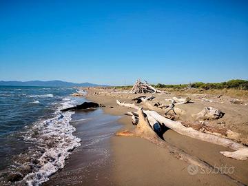 Principina a Mare (Gr) bilocale vicino al mare