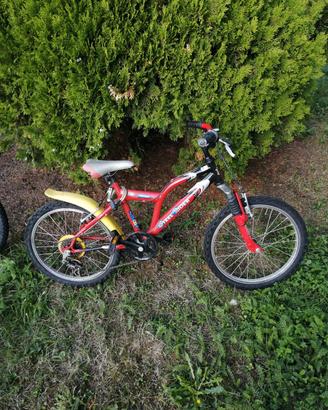 bicicletta