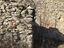 Immagine 13
