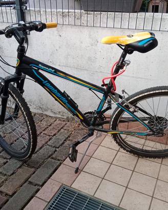 BICICLETTA DA RAGAZZO 24"