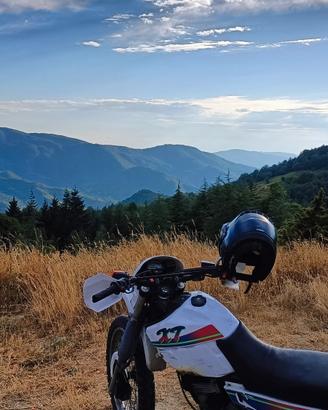 XT 600 E