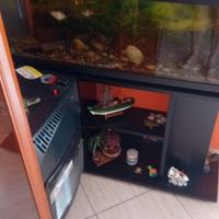 acquario più mobile