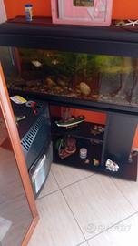 acquario più mobile