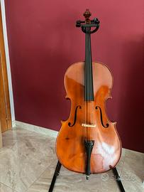 Violoncello 4/4 Goja