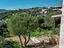 Immagine 7