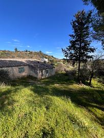 Terreno agricolo 2 ettari C.da Niscima (CL)