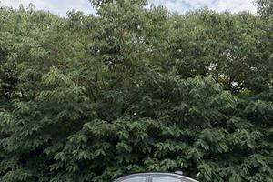 Bmw 316 316d Modern