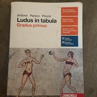 ludus in tabula gradus primus
