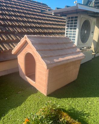 Cuccia grande per cane