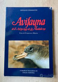 AVIFAUNA DELL’ARCIPELAGO DI LA MADDALENA