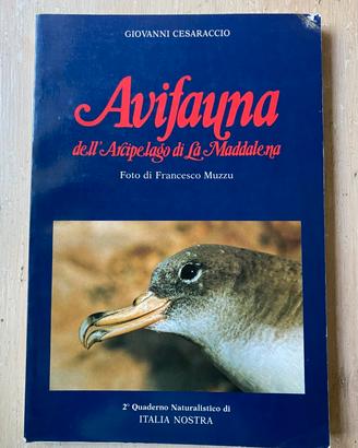 AVIFAUNA DELL’ARCIPELAGO DI LA MADDALENA