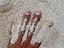 Immagine 4