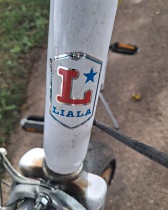 bicicletta grazziella 