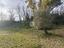 Immagine 27