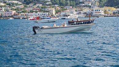 Boston Whaler Outrage 25 Classic