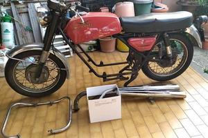 Guzzi Nuovo Falcone 500 Civile senza motore