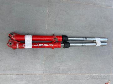 Forcella Trial fantic 330