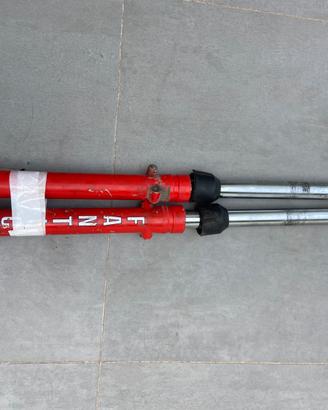 Forcella Trial fantic 330