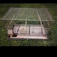 gabbia gabbietta per uccelli