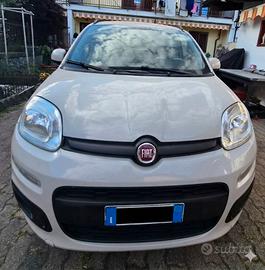 Fiat Panda lounge 1.2 benzina