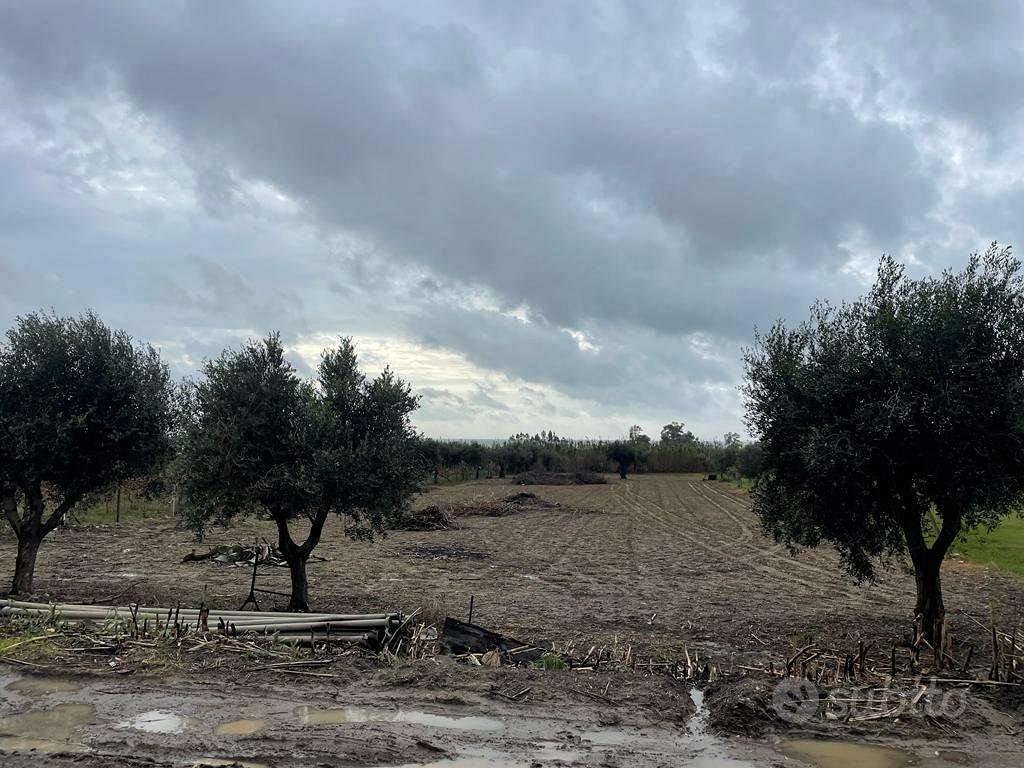 Terreno di 3550 m² a Mondragone - Vista 3