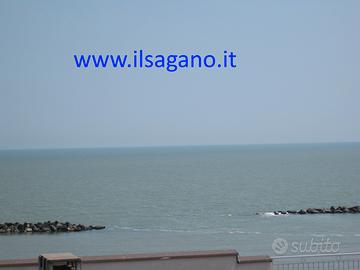 Ultima Sett. di Agosto (22/8-29/8) a Lido Scacchi