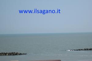 Ultima Sett. di Agosto (22/8-29/8) a Lido Scacchi