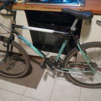 bike usata disponibile 