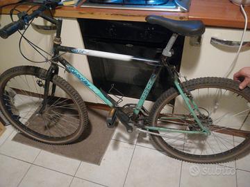 bike usata disponibile 