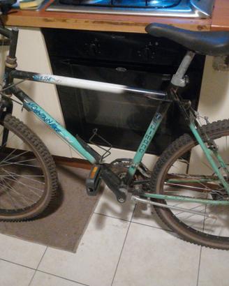 bike usata disponibile 
