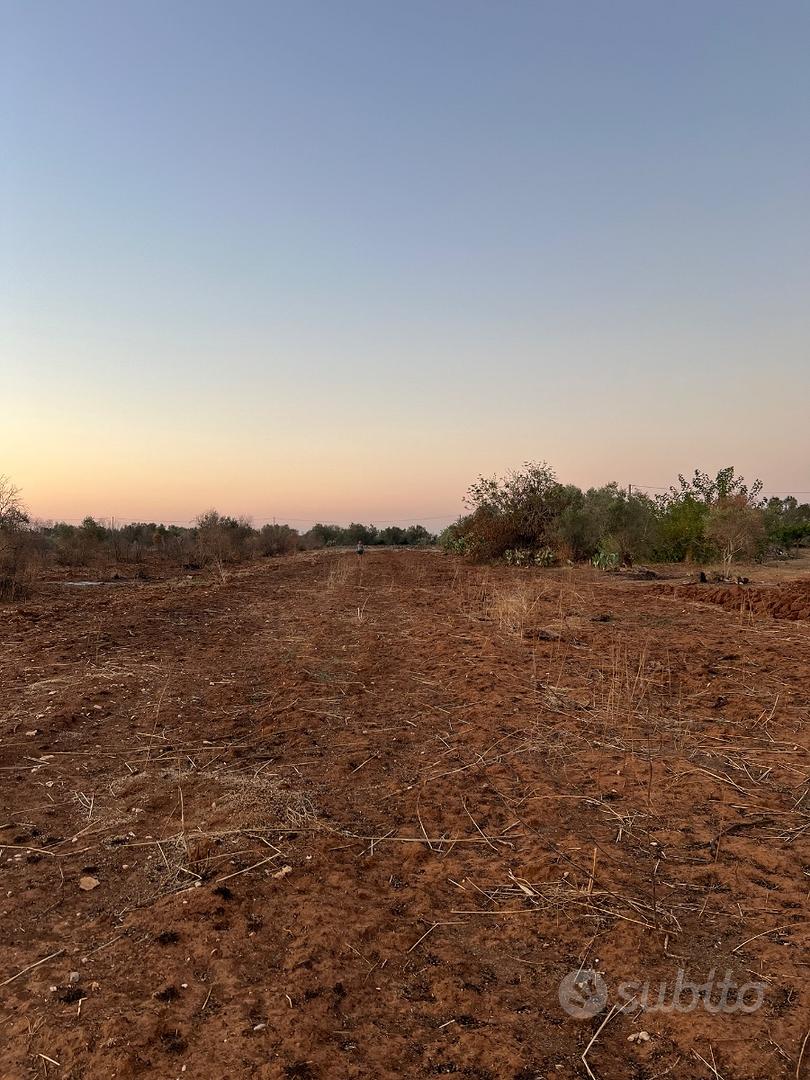 Terreno agricolo 50aree circa 4500 - Vista 2