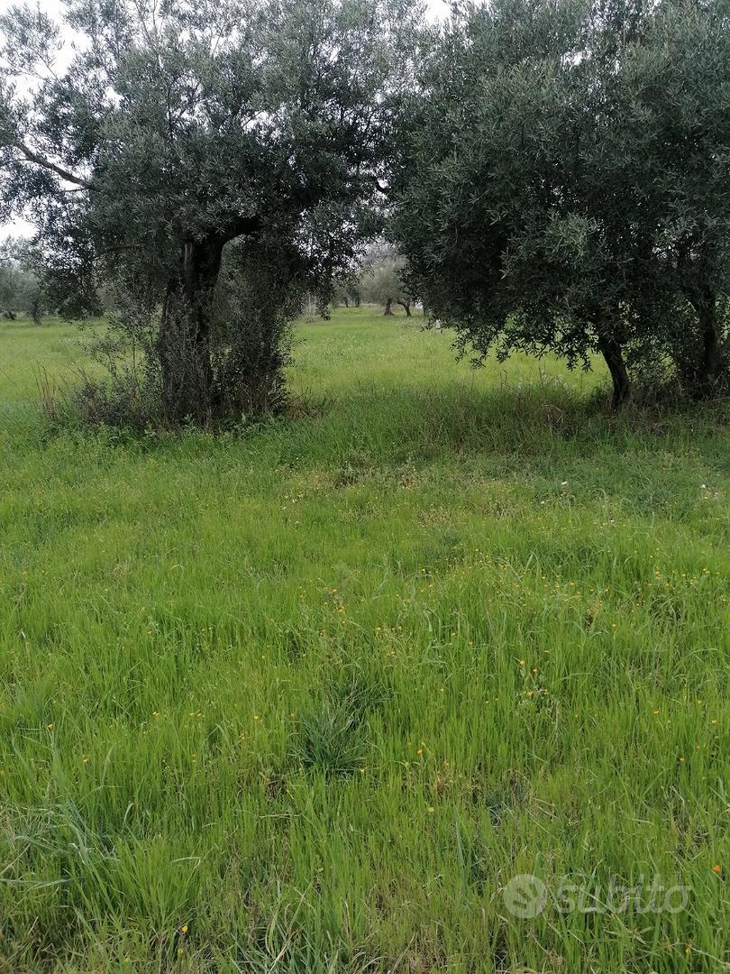 InsVendo 840 metri quadrati di terreno edificabile - Vista 4