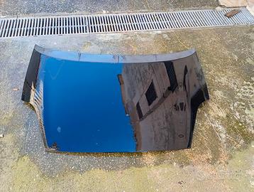 cofano anteriore e portiera ant. dex grande punto