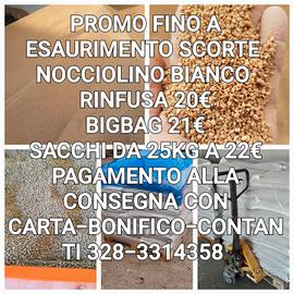 NOCCIOLINO  DI OLIVA CHIARISSIMO