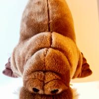 Peluche tricheco Bussi by Trudi