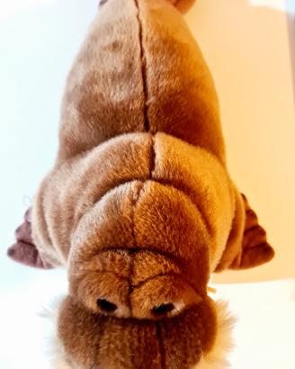 Peluche tricheco Bussi by Trudi