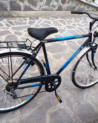 citybike longway