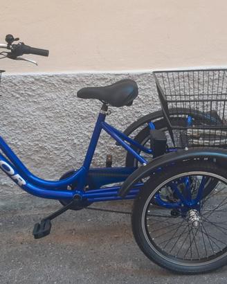 Bici 3 ruote elettrica adulti nuova (triciclo)