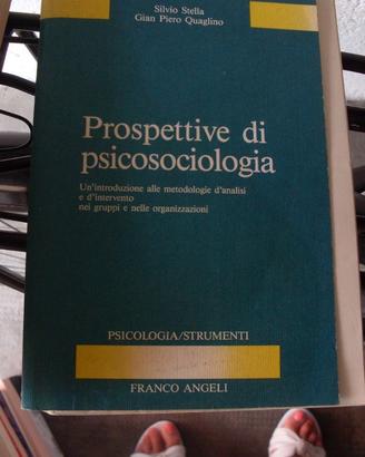 Stella Quaglino 1990 Prospettive diPsicosociologia
