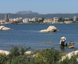 Olbia mare