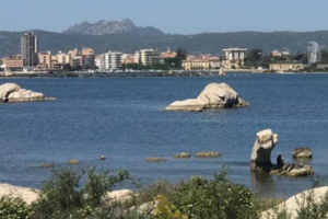 Olbia mare