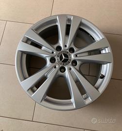 Cerchi in Lega Merdes Classe A B