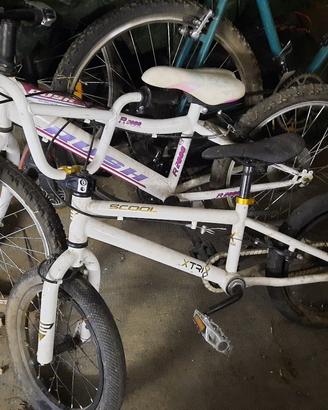 biciclette varie misure 